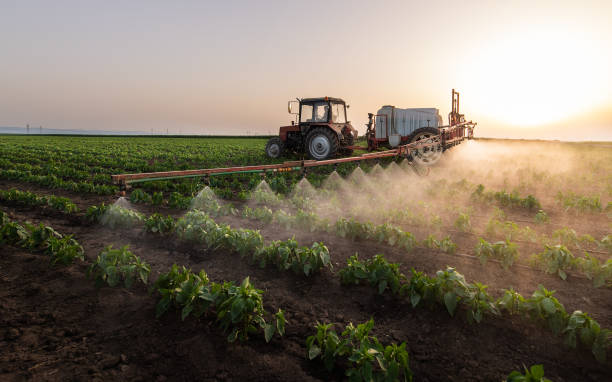 Best Pest Control Treatment  in Heber Overgaard, AZ