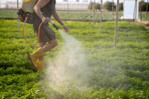Best Commercial Pest Control Services  in Heber Overgaard, AZ