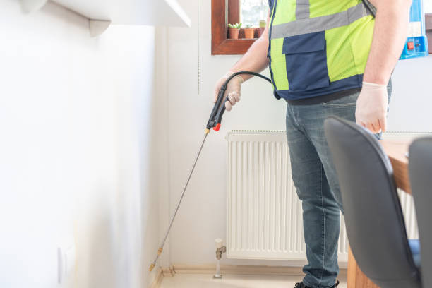 Best Termite Control Services  in Heber Overgaard, AZ