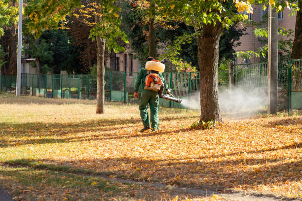 Best Cockroach Control Services  in Heber Overgaard, AZ